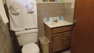 Gallery image of Woodland Motor Lodge in Grayling +17 photos