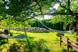 two hammocks hanging from a tree in a park at Wierzbowy Zakątek Lubocino - apartament na wyłączność, sauna, balia, ognisko in Lubocino