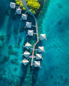 een luchtzicht op een resort-eiland in de oceaan bij InterContinental Tahiti Resort & Spa, an IHG Hotel in Faaa