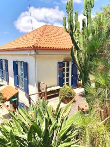 a house with blue shutters and a palm tree at Stilvolle Villa in Teneriffa Süd in Arona