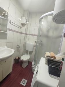 uma casa de banho com um chuveiro, um WC e um lavatório. em Studio Apartman Lukavica em Sarajevo