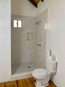 a white bathroom with a toilet and a shower at Lila loft- Private one floor bedroom &free parking in Roatan