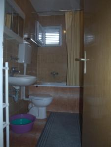a bathroom with a toilet and a sink and a shower at Apartments RUDO in Podaca