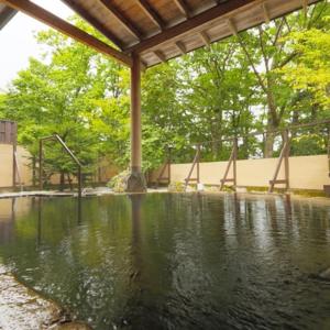 a pool of water with a playground in a park at Kyukamura Tsumagoi-Kazawa in Tsumagoi