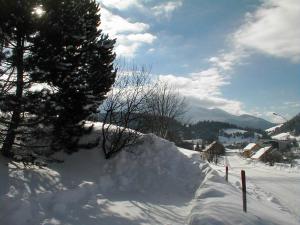 Príroda v okolí apartmánu
