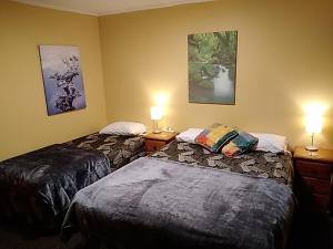 two beds in a hotel room with two lamps at Accommodation Fiordland -The Three Bedroom House at 226A Milford Road in Te Anau