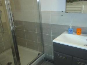 Kúpeľňa v ubytovaní Studio cosy 4 pers, au pied des pistes - 19m², ascenseur, TV, cuisine équipée, rénové, proche télécabines - FR-1-689-83