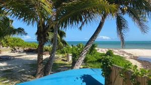 una playa con palmeras y el océano en La Voi del Mare, en Grand Anse