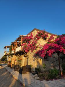 a building with pink flowers on the side of it at Eco Farm Boutique Hotel in Turgutreis
