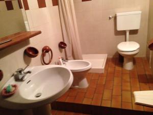 a bathroom with a sink and a toilet at Maso Capitel Appartamento in Commezzadura