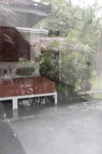 una panchina in un giardino con alcune piante di Clics Coliving & Coworking a Hiriketiya