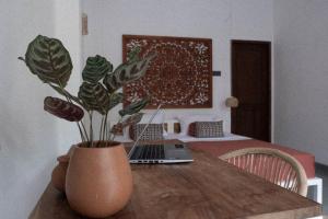a vase with a plant on a wooden table with a laptop at Clics Coliving & Coworking in Hiriketiya