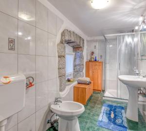 Bilik mandi di Tourist Farm Pri Živcovih +55 gambar