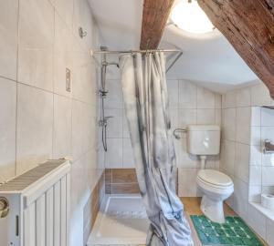 a bathroom with a toilet and a shower at Tourist Farm Pri Živcovih in Dutovlje +53 photos