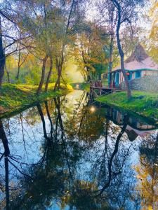 a reflection of a house in a body of water at Viewtopia The Secret Land in Valea Drăganului