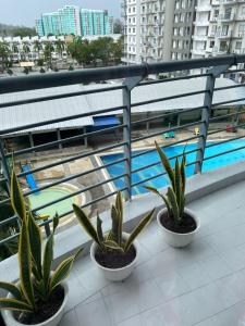 ポートディクソンにあるPD VIP Pool View w WiFi - Anugerah Staycationのバルコニーの上に座る鉢植え2本