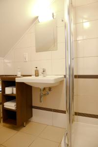 y baño con lavabo y ducha. en Penzion Marjána en Mníšek pod Brdy