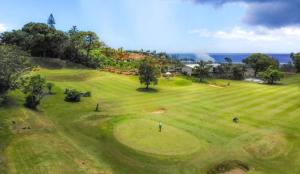 an overhead view of a golfer on a golf course at Eve and Sandys Holiday Home in Rarotonga