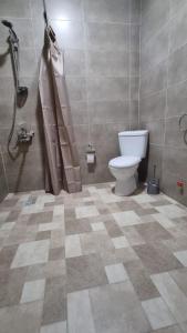 a bathroom with a toilet and a shower at Hotel Giorgi in Tskaltubo