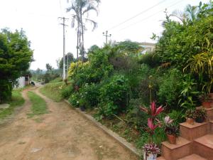 Zahrada ubytování Cauvery Homestay