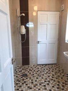 ein Bad mit einer Dusche und einer weißen Tür in der Unterkunft Burton Hall - Pauline in Carlow