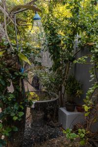 a bird bath in a garden with potted plants at Coconut Surf Inn in Weligama