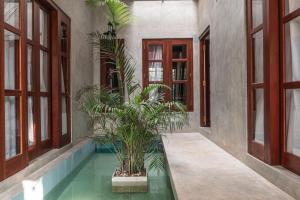 a hallway with a pool with plants in it at Coconut Surf Inn in Weligama