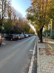 a street with cars parked on the side of the road at Star Apartments in Baia Mare