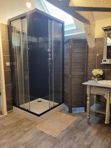 a large glass shower in a bathroom with a sink at Très bel appartement cosy en hyper centre in Romorantin +11 photos