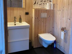 a bathroom with a sink and a toilet at The Longhouse at Lista in Farsund