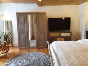 TV a/nebo společenská místnost v ubytování Stillvolle Designwohnung im historischen Zentrum