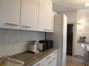 Kuchyň nebo kuchyňský kout v ubytování Stillvolle Designwohnung im historischen Zentrum