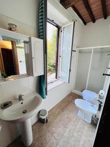 bagno con lavandino e servizi igienici di Podere La Miniera Relax & Food a Siena