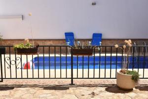two potted plants on a fence next to a pool at Vivienda con piscina, gimnasio y cocina campera in Villanueva de los Infantes