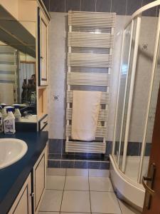 a bathroom with a sink and a shower and a toilet at Le Clos Fleuri in Bourg-de-Thizy +15 photos