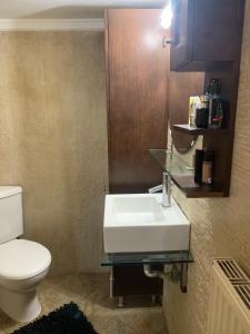 La salle de bains est pourvue d'un lavabo blanc et de toilettes. dans l'établissement Two Floor Luxurious Villa #skg, à Thessalonique