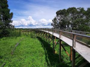 a wooden bridge over a field with grass at Oiu sadama puhkemaja in Oiu