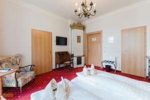TV a/nebo společenská místnost v ubytování Hotel Alt Görlitz