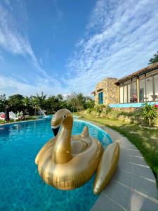 ハノイにあるNature’s House Ba Vi - Venue Travelのスイミングプールの黄色いゴムアヒル