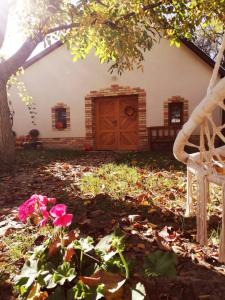 ein Haus mit Holztür und Blumen im Hof in der Unterkunft Góhér pince és vendégház in Császártöltés