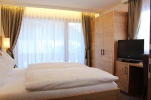 Televisi dan/atau pusat hiburan di Waldpark Hotel Garni