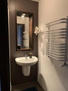 a bathroom with a sink and a mirror at Apartamenty Żeglarskie w Vęgorii in Węgorzewo