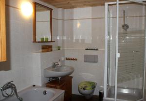 Koupelna v ubytování Ferienwohnung Dresden Pillnitz am Weinberg + 9 fotografií