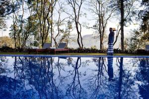 Bazén v ubytování Ceylon Tea Trails - Relais and Chateaux nebo v jeho okolí