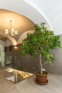 Fotografia z galérie ubytovania Apáca 30 Apartman **** Győr v destinácii Győr