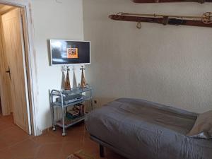 - une chambre avec un lit et une télévision à écran plat dans l'établissement Sierra Nevada Apartment, à Grenade