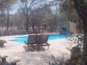 two chairs sitting next to a swimming pool at Kaoko Mopane Lodge & Campsite in Opuwo