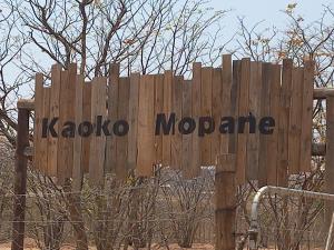 Gallery image of Kaoko Mopane Lodge & Campsite in Opuwo +72 photos