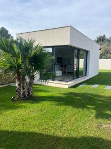 una piccola casa con una palma nel cortile di Magnifique studio avec piscine a Arles