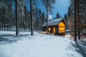 a small wooden cabin in the woods in the snow at Black Work Levi Aihki in Kittilä
